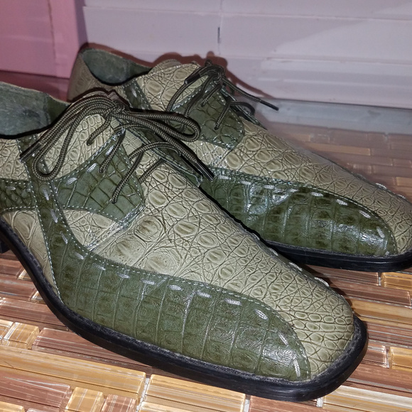 hugo vitelli alligator